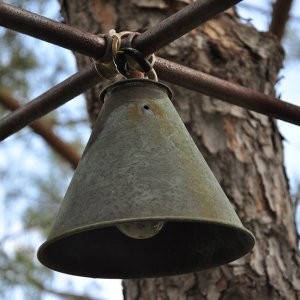 Casa sull'albero