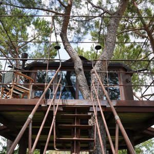 Casa sull'albero